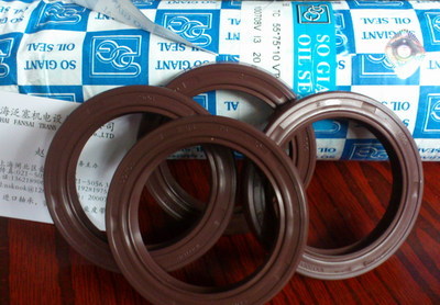 供應(yīng)臺灣進口氟膠油封,NAk/SOG氟膠油封-上海泛塞機電設(shè)備