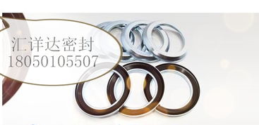 【德國進(jìn)口cfw/babsl油封型號表,42423價(jià)格,圖片,配件廠家】