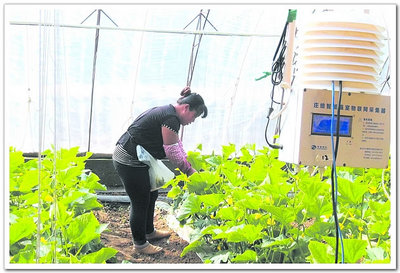 涿鹿縣供銷(xiāo)合作社 連接城鄉(xiāng)的橋梁與現(xiàn)代農(nóng)業(yè)信息咨詢的領(lǐng)航者