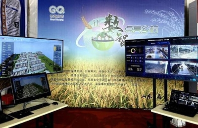 黃河青城彩“云”飛——數(shù)字鄉(xiāng)村的“高青樣本” 農(nóng)業(yè)信息咨詢(xún)